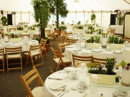 Weddings